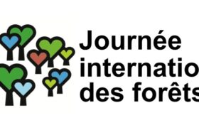 Ballade commentée dans la forêt de Palaiseau