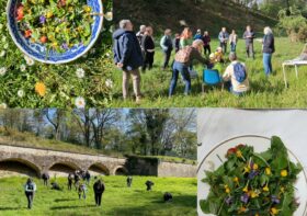 Découverte des plantes comestibles de la Batterie de la Pointe